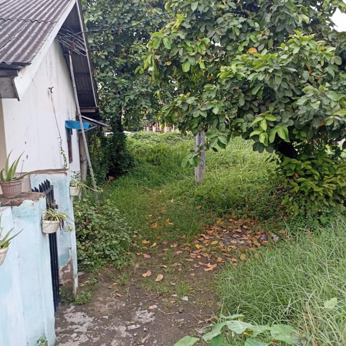 Tanah Dijual di Jl. Urip Sumoharjo Kp. Rawa Makmur Cikarang Utara